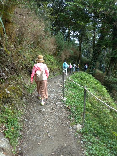 觀霧 檜山巨木群步道1090217