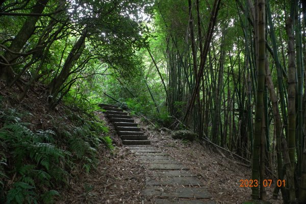 宜蘭 頭城 蕃薯寮山、鹿窟尾山、灣坑頭山2202996