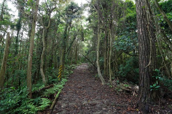 新竹 北埔 五分寮頂山、大南坑山、焿寮坪山、內大坪山2489171