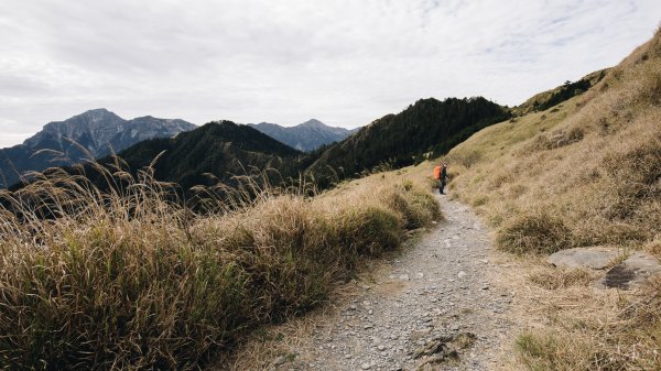 【奇萊的奇幻之旅】奇萊北峰、月形池、奇萊北壁954079