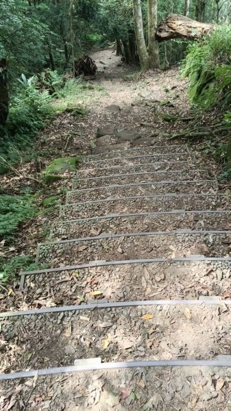 20251004 馬那邦山 - 珠湖 登山口2904769