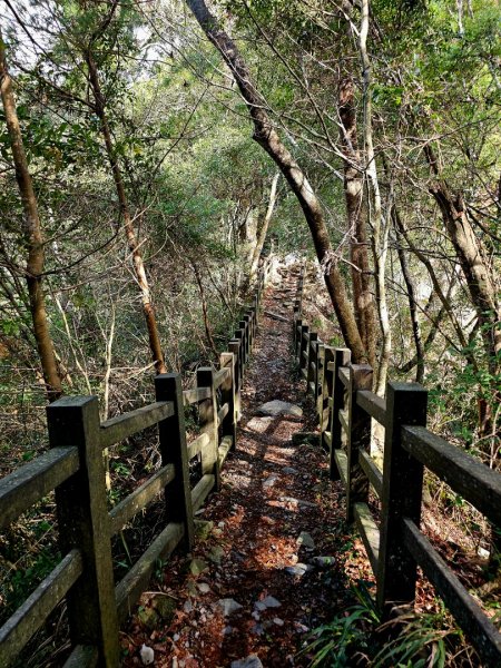 波津加山-谷關七雄(老四)3015164