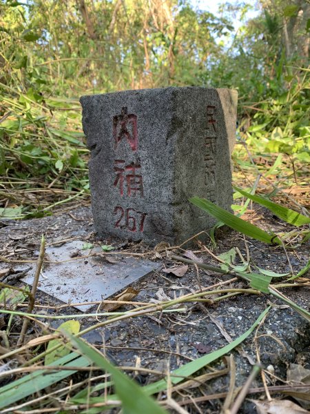 20251115台南南庄山2938057