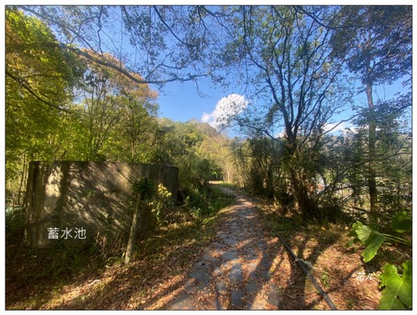 獵人古道、望美山、瓊山 連走3011761