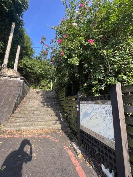 【鳶山山系】鳶山彩壁2858053