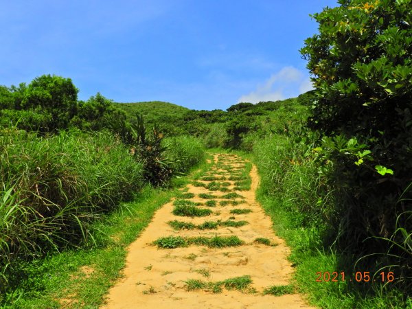 新北 瑞芳 南子吝山1388659