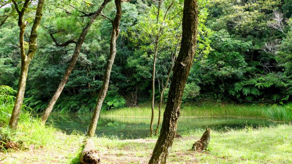 柯子林保甲路,如意湖,五指山古道2848894