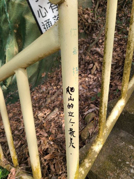 遇到玄天上帝誕辰慶典2724197