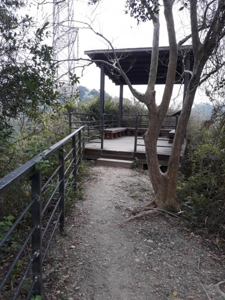 雲林林內龍過脈森林步道20190323550619