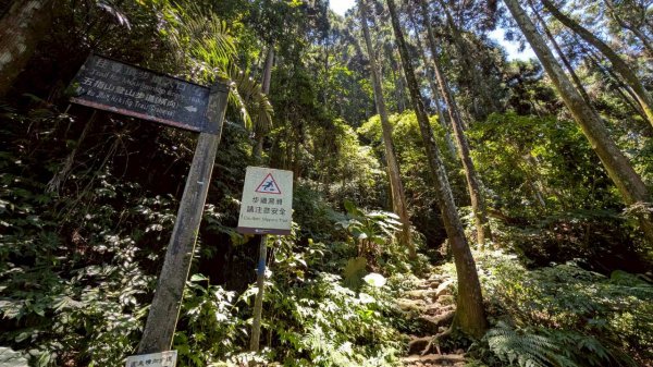 五指山步道3077060