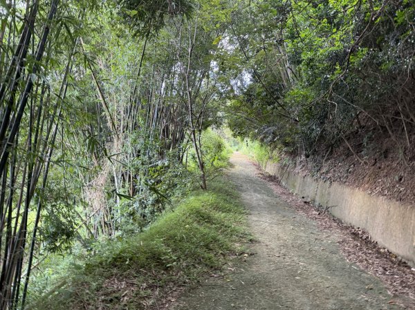 [皮皮獅動物派對-01/10] 2026_0815 寶山迴龍步道、環湖步道3112337