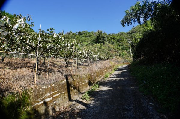 台中 和平 雪山坑山2925059