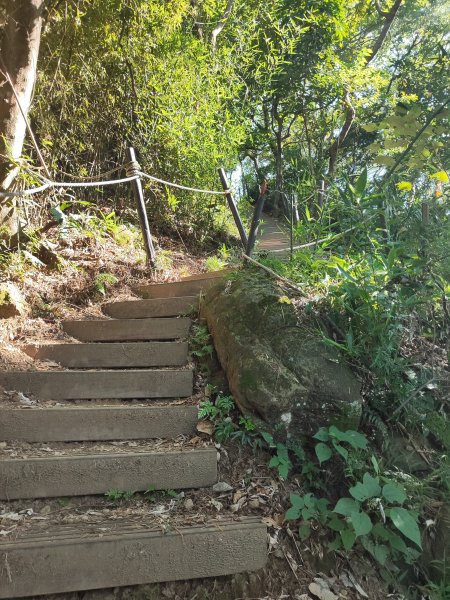 微笑山線：【大棟山系】百年大榕樹段2868476