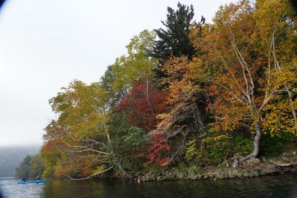 日本 北海道2908542