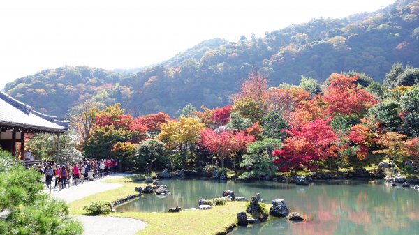 日本京都嵐山651958