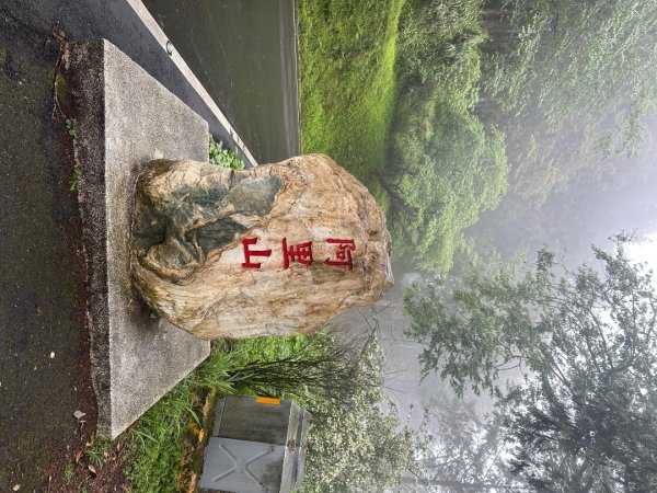 嘉義大凍山大塔山+紅毛埤山3067145