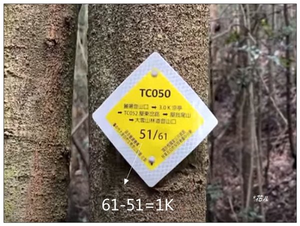 屋我尾山 北登山口 (大雪山林道31.3K)2985526