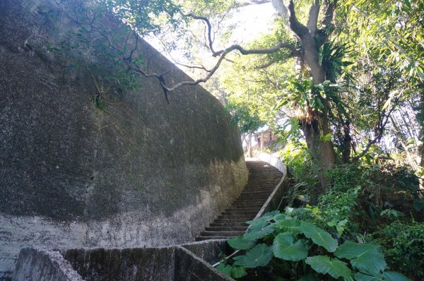 烘爐地登山步道(南勢角山)1968400