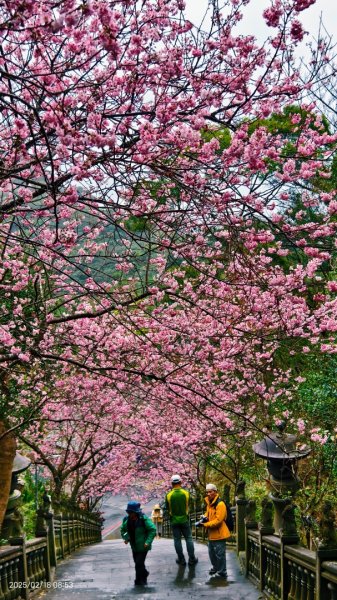 內湖碧山巖 2/182714781