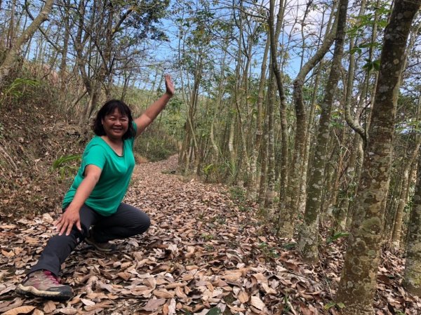 驚驚車程的九份二山之賞梅趣503682