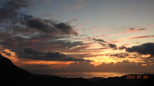 雲山水花鳥蝶-天龍國阿伯的日常7/242229441