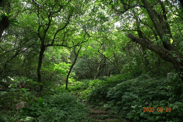 基隆 頂寮山、龍門山、五分山、頂子寮山2265974