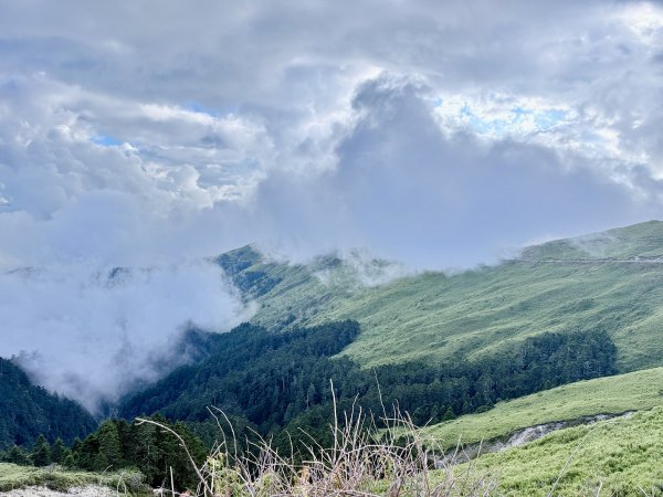 合歡東峰散步趣  2025.10.152923065