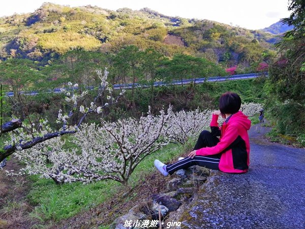 手腳並用之虎山行。 水雲三星~虎山步道1300659