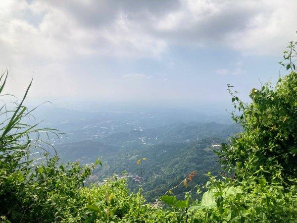 阿拔泉山稜線步道2642162