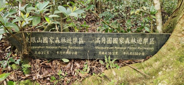 【中級山縱走】志繼山，東眼山，拉卡山，卡外山，東滿步道2742585