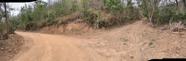 20250405屏東頂楓港山-上楓港山2757487