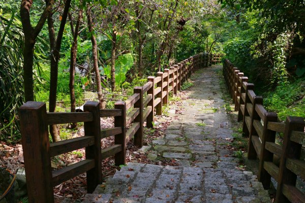 樟之細路縱走：龍潭至石門山1472123