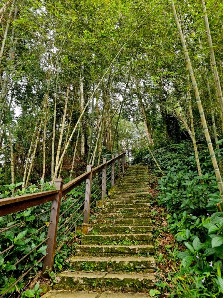 太興岩步道-嘉義縣梅山鄉2655814