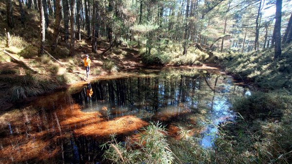 五星級松針步道的平多縱走2837842