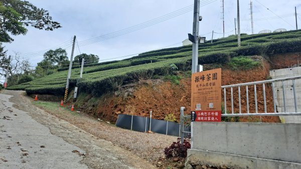 20240523嘉義梅山梨子腳山-太平老街-太平雲梯吊橋2511295