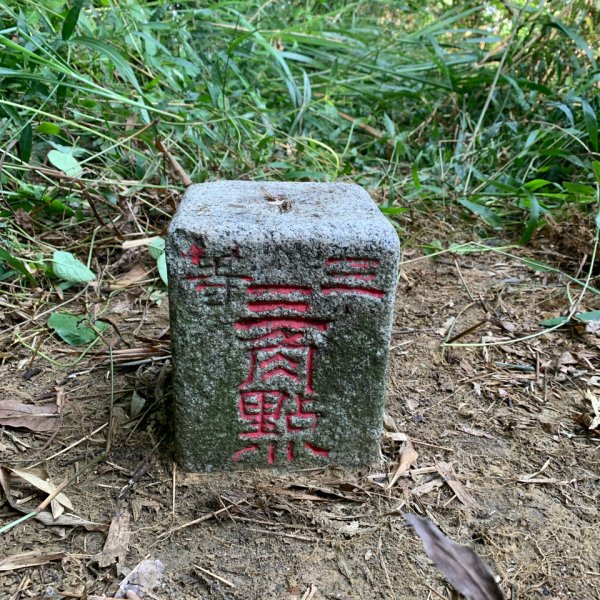 20251115台南大尖山2938075