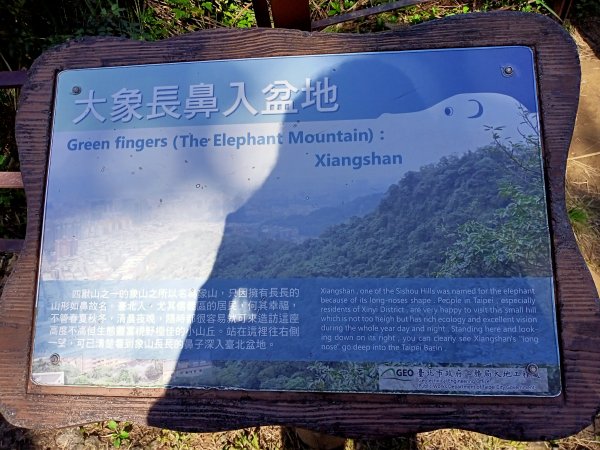 【南山神壽任務尋寶趣】國際化的象山親山步道1596476