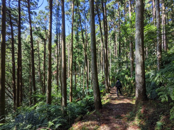 志繼山東眼山拉卡山1491089