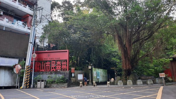 《台北》城市晨運｜虎山親山自然步道（松山慈惠堂）202505222795757