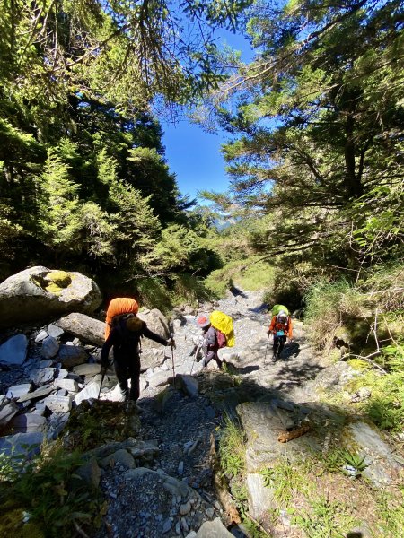 奇萊東稜翻山越嶺的淚與笑D1 2022/9/29—合歡山遊客中心至月形池1869532