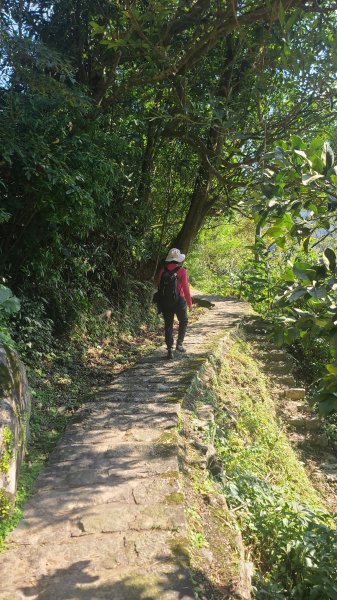 2025-0130溪和宮-大崎頭步道-鵝尾山-平溪步道-鵝尾山水田-42巷-溪山百年古圳-平菁步道2701846