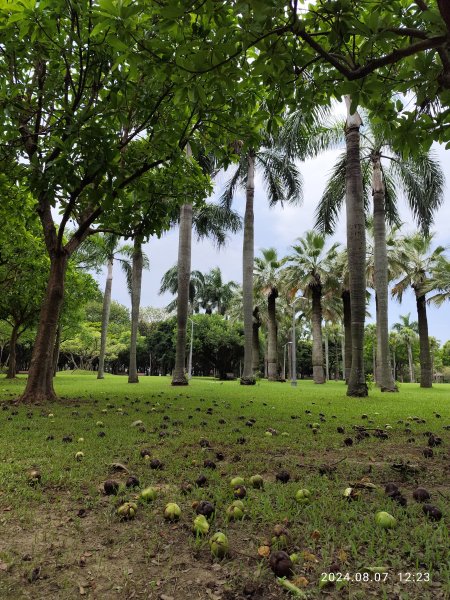 《大安森林公園》【走路趣尋寶】【臺北健走趣】2567431