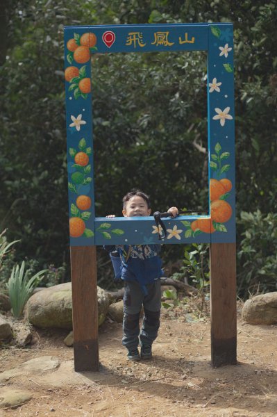 四歲小樂的第26座小百岳-新竹飛鳳山1172109