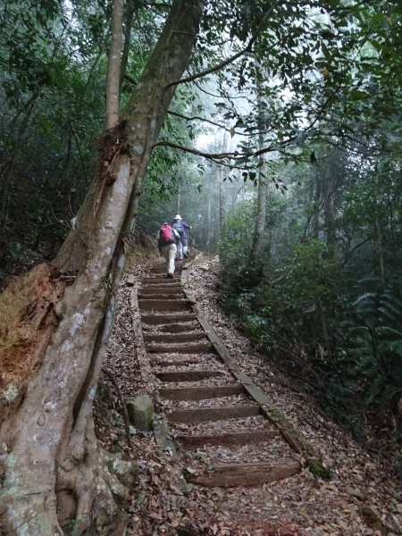 南投魚池-集集-水社大山和集集大山256550