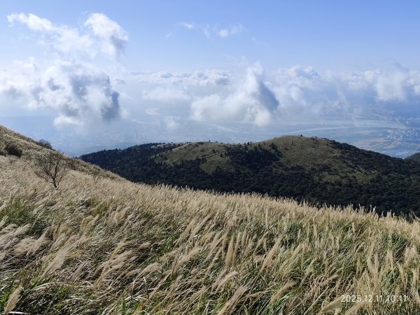 【臺北大縱走 2】【第二回合全程完成證書】鞍部→大屯山步道→大屯山主峰→大屯坪步道→二子坪步道2960372
