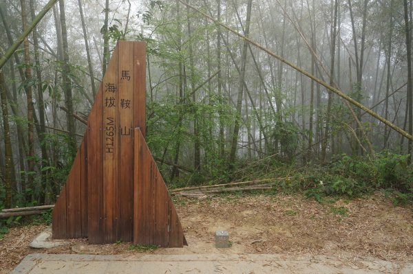 嘉義 梅山 太平山、梨子腳山、馬鞍山、二尖山、大尖山、碧湖山2748978