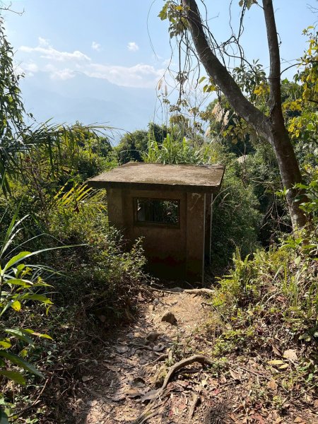 桃園 大溪 頭寮山3004511