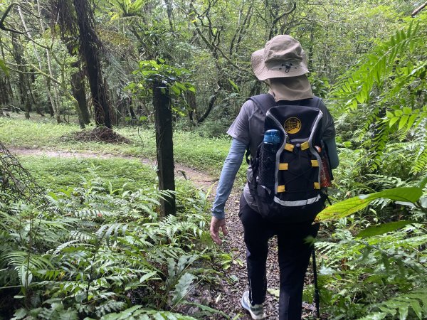 【淡蘭古道尋寶任務】淡蘭南路第四段｜𩻸魚堀溪自行車道至縣界公園2926462