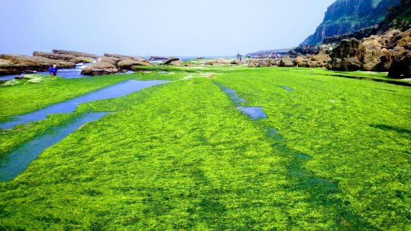 東北角海邊549547