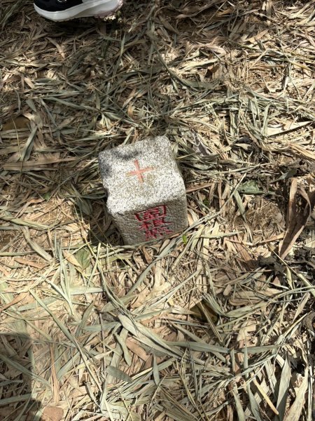 20250816高雄旗尾山2914598